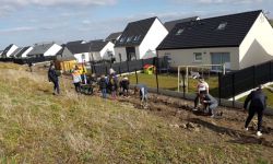 Plantations Cavalier   017